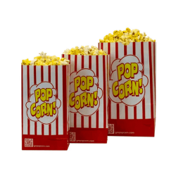 Popcorn Bags (Qty 25)